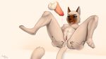  2014 after_sex anthro balls blue_eyes breasts cat cum cum_in_pussy cum_inside disembodied_penis duo feline female male mammal monkeyspirit nipples nude penis plain_background pussy solo_focus straight white_background 