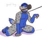 2014 anthro balls chewycuticle collar ear_piercing english_text half-erect hyena leash male mammal muzzle_(object) muzzled nude penis piercing sheath solo submissive text 
