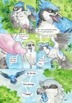  2013 :| annoyed avian bird blue_jay comic dialogue english_text erection evan_(windpaw) eyes_closed feather feral feral_on_feral flying gay half-closed_eyes half-erect male penis precum shrike text throbbing timothy_(windpaw) traditional_media_(artwork) tree vein windpaw 