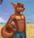  2014 anthro canine clothed clothing cloud fox fur hair half-dressed lurkergaat male mammal nipples outside photo pose sand sea seaside shorts sky smile solo topless volleyball_net water zeta-haru 