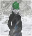  albino alien anthro camera clothed clothing coat female gloves green_eyes green_hair hair hint long_hair looking_at_viewer outside pants petresko photo pose ring scarf sepilian shirt smirk snow snowing solo standing tree 