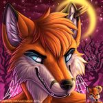  2014 anthro black_fur blue_eyes bust_portrait canine creepy fangs fox fur glowing glowing_eyes halloween holidays male mammal moon night orange_fur portrait saruki shaded smile snarling solo spider_web teeth white_fur 