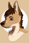  anthro beige_background bust_portrait canine digital_media_(artwork) dog edesk fox german_shepherd hair looking_at_viewer male mammal portrait solo 