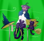  2014 anthro blush broom cat clothing cosplay crossdressing feline greenscreen htodinth male mammal morenatsu no_underwear panties shin_kuroi underwear 