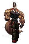  abs anthro bandage biceps big_muscles bulge canem canine clothing ear_piercing fur gloves hyper hyper_muscles lagomorph looking_at_viewer male mammal metal muscles pants pecs piercing rabbit ripped shirt shoes smile solo toned vein willard wolf wolfie wolfiecanem 