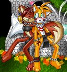  anthro canine clothing couple duo female fiona_fox fox jewelry kissing loincloth lord-kiyo male mammal miles_prower necklace sega shy sitting sonic_(series) tribal 