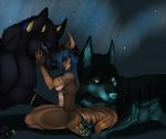  2014 ambiguous_gender blue_eyes blue_hair canine coyote diablo female feral fur green_eyes group hair kneeling mammal night outside paws purple_paradise ransome sky star starry_sky trixy wolf 