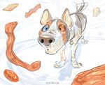  2014 bacon canine cheese collar dog feral food heterochromia keovi male mammal solo tailwag what 