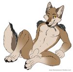  2013 anthro balls canine fur jackal looking_at_viewer lying male mammal muscles nipples nude penis sheath smile solo wingedwolf 