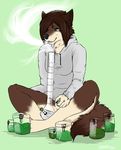  2013 absurd_res anthro black_nose bong bottomless brown_fur brown_hair canine clothed clothing dog drugs female fur green_background green_eyes hair half-dressed hi_res hoodie kittentits mammal marijuana open_mouth plain_background sitting smoke solo white_fur 