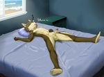  anthro balls bed canine erection male mammal penis scar sceptile_(artist) sleeping solo uncut young 