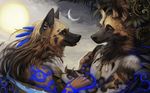  2014 african_wild_dog anthro blue_eyes canine cloud couple coyox duo ear_piercing eye_contact female fur hair hyena jewelry love male mammal moon necklace outside piercing romantic sky smile star sun 