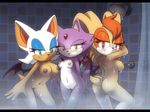  2014 anthro areola bat big_breasts blaze_the_cat breasts cat erect_nipples feline female group lagomorph mammal milf mother nancher nipples nude parent pussy rabbit rouge_the_bat sega shower sonic_(series) vanilla_the_rabbit 