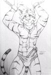  abs anthro biceps bound clothing drnx erection feline male mammal muscles necktie pecs penis solo tiger underwear 