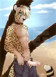  2014 acino_(character) anthro balls cheetah clothing collar erection f-r95 feline fur hair looking_at_viewer male mammal pants penis solo standing 