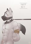  abs anthro bdsm biceps blue_eyes blush bondage bound canine collar fur gag grey_fur leash male mammal mask muscles nude pecs penis rope sheath solo spazzyhusky standing toned wolf 