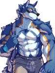  2014 abs anthro bag biceps big_muscles black_nose blue_fur canine clothed clothing eyewear fliegen80s fur glasses half-dressed male mammal markings muscles orange_eyes orange_fur pecs pose shorts solo standing sunglasses toned topless white_fur wolf yellow_eyes 