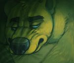  bear black_nose close-up fur male mammal nastyspook solo todd yellow_fur 