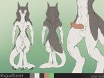  2014 anthro balls butt close-up erection front_view knot male model_sheet penis rear_view roguebarret sergal sheath shiuk solo 