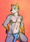  2014 anthro arcticorange bulge canine clothing ear_phones fur green_eyes headphones loincloth male mammal mp3_player music plain_background pose solo speedo standing swimsuit topless underwear wolf 