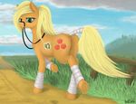  anatomically_correct anatomically_correct_pussy animal_genitalia anus applejack_(mlp) bandage earth_pony equine equine_pussy female feral friendship_is_magic grass hair horse looking_at_viewer mammal my_little_pony oneofyouare pony pussy solo tail_wrap 