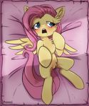  bed blue_eyes blush clitoris equine female feral fluttershy_(mlp) friendship_is_magic fur hair inside lying mammal my_little_pony on_back on_bed open_mouth pegasus pink_hair ponni purple_hair pussy solo wings yellow_fur 