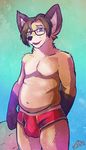  2014 anthro arcticorange big_belly big_ears black_nose briefs bulge canine chubby clothing eyewear fur glasses hair looking_at_viewer male mammal open_mouth pose solo standing topless underwear 