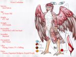  anthro avian bird claws erection falcon javelin_nightpaw look_at_viewer male model_sheet nekromantiafox penis precum sakuri_rainne smirk solo wave_curlenian wings 