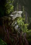  ambiguous_gender close-up detailed_background forest fur green_eyes grey_fur leaves murcifer nature outside plant roots sergal solo tree tuft 