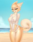  2014 amber_eyes anthro areola beach big_breasts bottomless breasts canine cashew_(character) clothed clothing cloud dog female half-dressed looking_at_viewer mammal nipple_bulge nipple_bumps outside pantless pussy sand sea seaside shiba_inu shirt sif skimpy sky solo thick_thighs translucent water wet 
