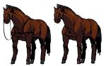  alpha_channel black_hair breeding_season brown_fur equine feral fur hair hooves horse male mammal muscles plain_background s-purple straps transparent_background 