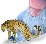  abdominal_bulge all_fours anthro anthro_on_feral balls barbs bestiality big_balls big_penis blue_hair blue_skin breasts butt cheetah cum cum_in_pussy cum_inflation cum_inside cum_on_butt cum_on_leg doggystyle dragon duo excessive_cum feline female feral from_behind green_eyes hair hi_res horn hyper hyper_balls inflation insertion interspecies jasiri large_insertion lizard male mammal nude penetration penis pussy raised_tail reptile ridiculous_fit scalie sera sex size_difference straight tight_fit toradoshi vaginal vaginal_penetration whiskers 