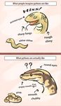  ambiguous_gender brown_eyes comparison english_text fangs feral forked_tongue python reptile scalie snake text tongue unknown_artist 