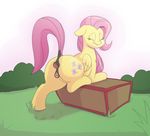  anus box butt clitoris cutie_mark equine eyes_closed feathers female feral fluttershy_(mlp) friendship_is_magic gaping hair hooves long_hair mammal my_little_pony nokemop outside pegasus pink_hair presenting pussy raised_tail rear_view smile solo wings 