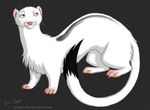 2010 :3 ambiguous_gender black_eyes black_fur claws cute feral ferret fur mammal mustelid saruki solo white_fur 