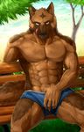  anthro bulge canine canyne_khai clothing looking_at_viewer male mammal muscles outside sitting solo underwear wolf 