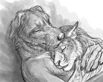  2014 anthro canine claws dog duo eyes_closed feline female greyscale hug johannes_cuthbert lynx male mammal monochrome rukis shivah sketch 