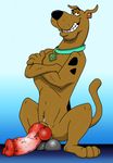  animal_genitalia balls big_penis canine canine_penis crossed_arms dog erection feral grin huge_penis knot male mammal penis pose scooby-doo scooby-doo_(series) sitting solo vein veiny_penis wildwulf 