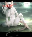  anthro breasts female glowing glowing_eyes here-kitty--kitty ink-eyes looking_at_viewer magic_the_gathering mammal nude pussy rat rodent sitting solo 