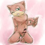  anthro balls blush cat color cub feline kneeling kochimel looking_at_viewer male mammal nude nyago nyani_ga_nyander_nyander_kamen penis solo young 