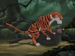  2014 anal anal_penetration bagheera_(jungle_book) balls black_panther claws cum cum_in_ass cum_inside disney duo feline feral feral_on_feral forced forest gay lying male mammal mcfan nature outside panther penetration penis rape shere_khan the_jungle_book tiger tree 