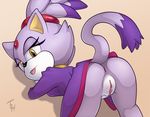 2014 anthro anus blaze_the_cat butt cat feline female looking_at_viewer looking_back mammal presenting presenting_hindquarters pussy sega solo sonic_(series) the_other_half 
