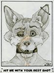  alinraven canine collar cum fox fur hair male mammal paws piercing smile text tongue trevor_fox 