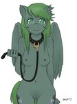  anthro breasts clitoris collar cutie_mark equine fan_character feathers female fur green_eyes green_fur green_hair hair hi_res leash long_hair looking_at_viewer mammal my_little_pony navel nipples nude pegasus plain_background pussy smile solo standing the-rasp-b wings 