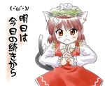  animal_ears brown_hair cat_ears cat_tail chen earrings hand_gesture hat jewelry mouse multiple_tails short_hair solo supon tail touhou 