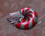  2013 ambiguous_gender candy candy_cane cephalopod feral marine meglyman nautilus solo stripes 