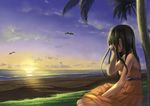  beach bird black_hair blue_sky coconut_tree dress horizon long_hair ocean orange_dress original palm_tree seagull sitting sky solo sunset tree yoropa 