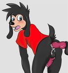  anal anal_penetration animal_genitalia anthro balls bottomless canine canine_penis clothed clothing cum cum_in_ass cum_inside disembodied_penis disney dog duo gay half-dressed knot male mammal max_goof penetration penis zaxstar 