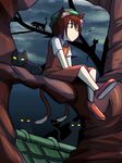  bad_id bad_pixiv_id banned_artist black_cat brown_hair cat chen in_tree looking_at_viewer night night_sky okahi outdoors short_hair sitting sitting_in_tree sky solo touhou tree yellow_eyes 