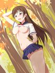  arm_behind_back arm_behind_head blush breasts brown_hair highres idolmaster idolmaster_cinderella_girls large_breasts long_hair maebari microskirt navel nipples nitta_minami no_bra no_panties open_mouth outdoors school_uniform serafuku shirt_lift skirt solo zundarepon 